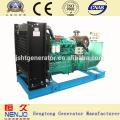 Yuchai 40KW Alternator Diesel Generator